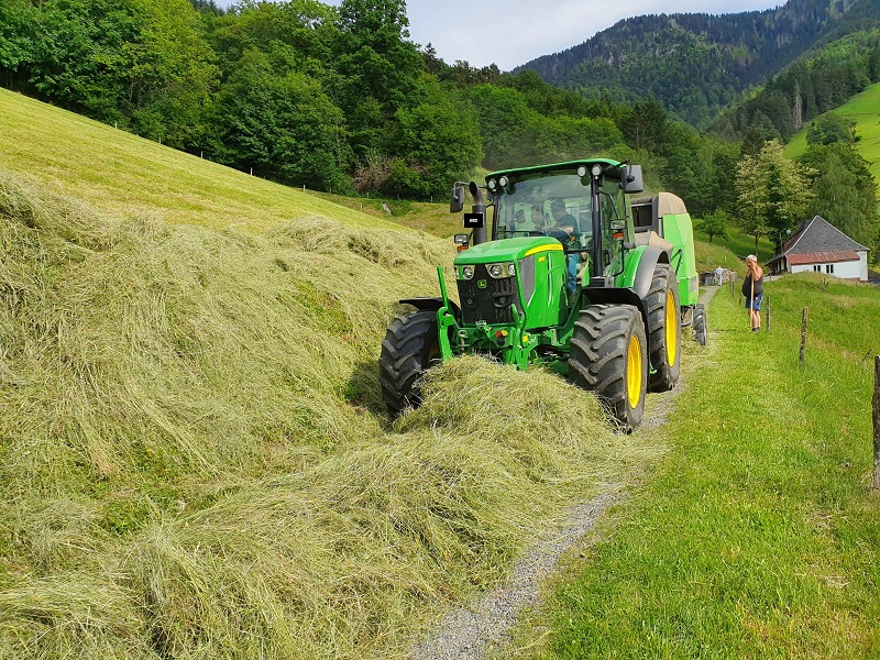 HeuenGeishanseliPressen